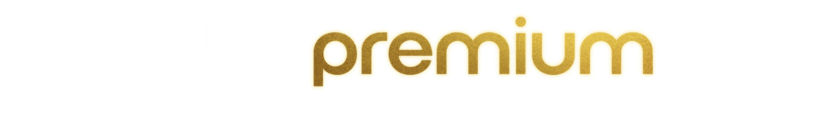 4AllPremium logo featuring white "4all" lettering, metallic gold "premium" lettering, and the tagline "Just the good stuff!" underneath.